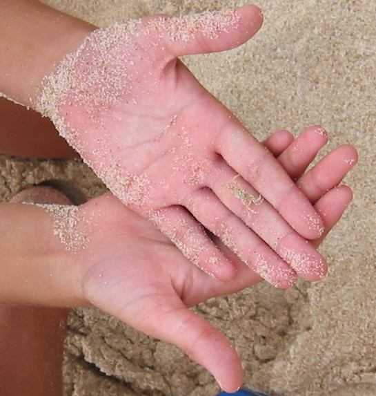 2002_12_25 061 Small.jpg, 1/17/2003, 84 kB