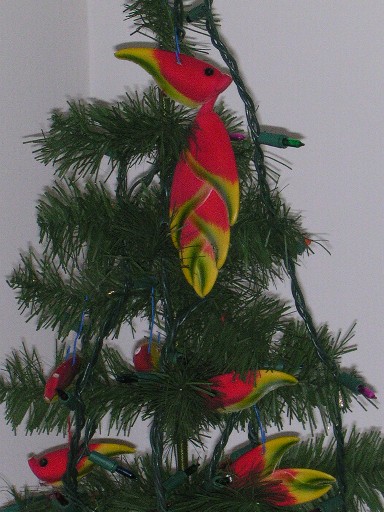 2003_12_24 100 Small.jpg