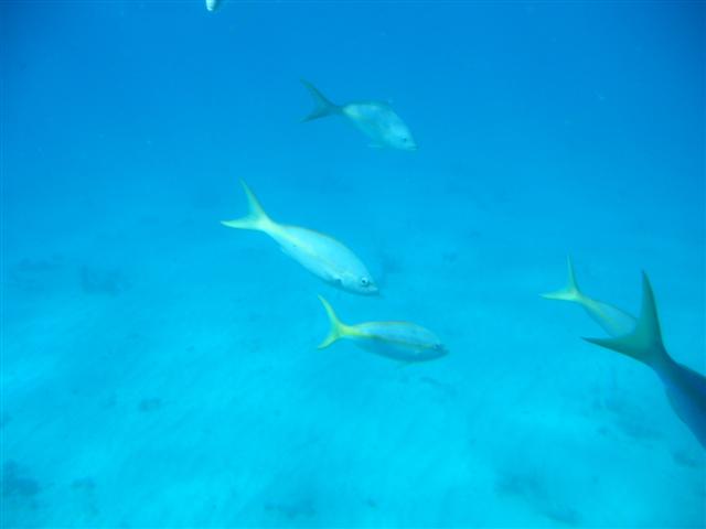 2005_12_20_006 (Small).JPG