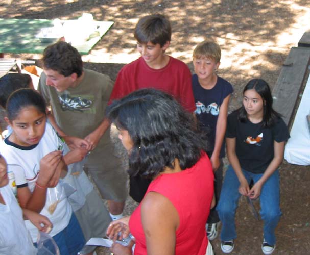2004_07_03 004 CroppedSmall.jpg